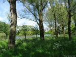 vijver De Stouwe